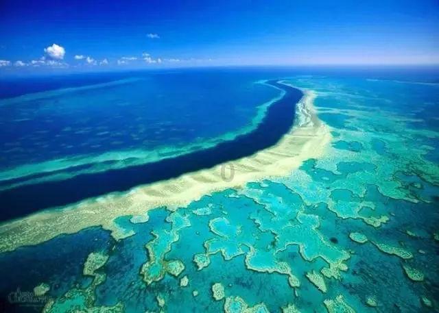 就想知道豆浆机打出来的豆浆能不能达到100度？游戏画面
