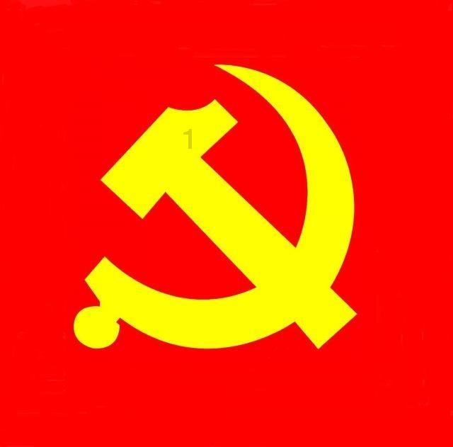 数码宝贝8